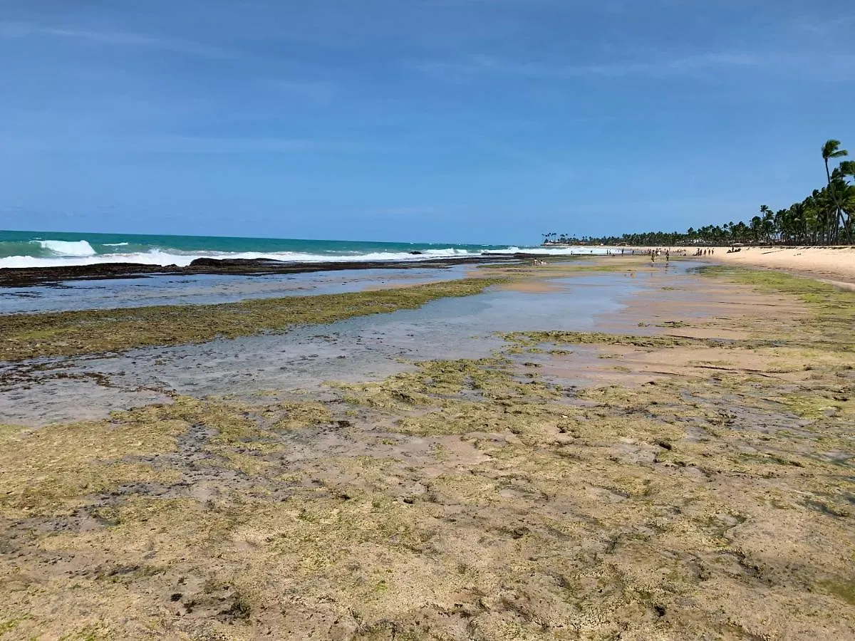 Flat Beach Class Muro Alto Porto de Galinhas Brazil